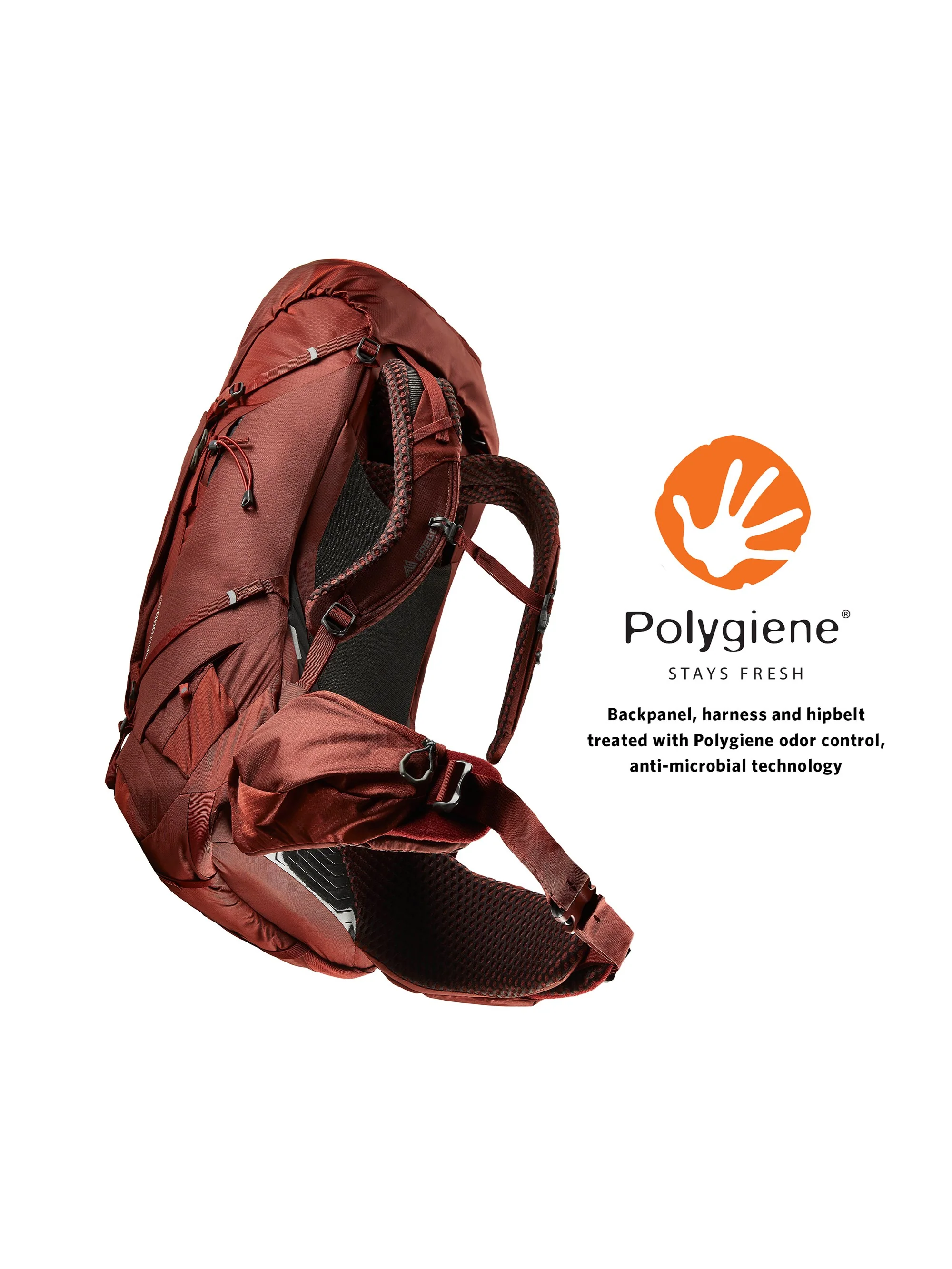 Gregory Baltoro 65 Backpack - Image 7