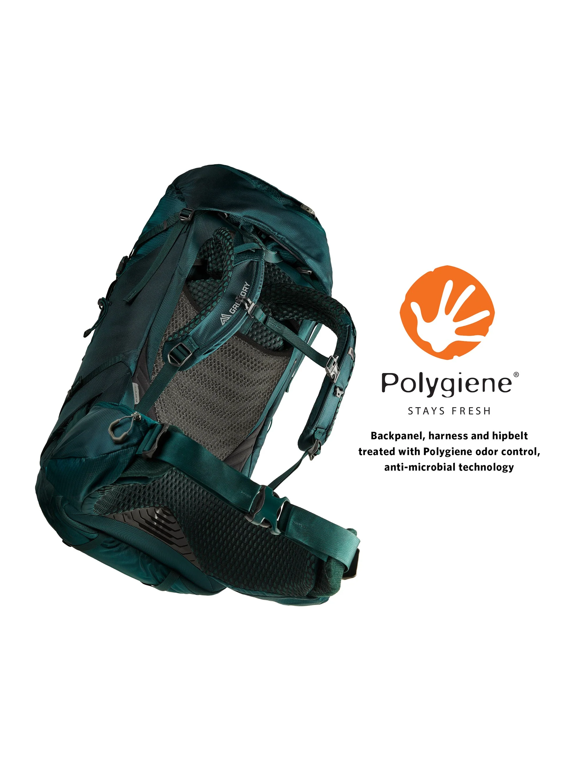 Gregory Deva 60 Backpack - Image 6